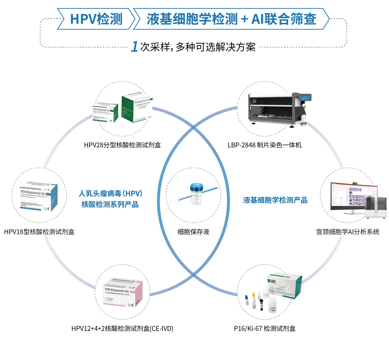 筛查方案.jpg