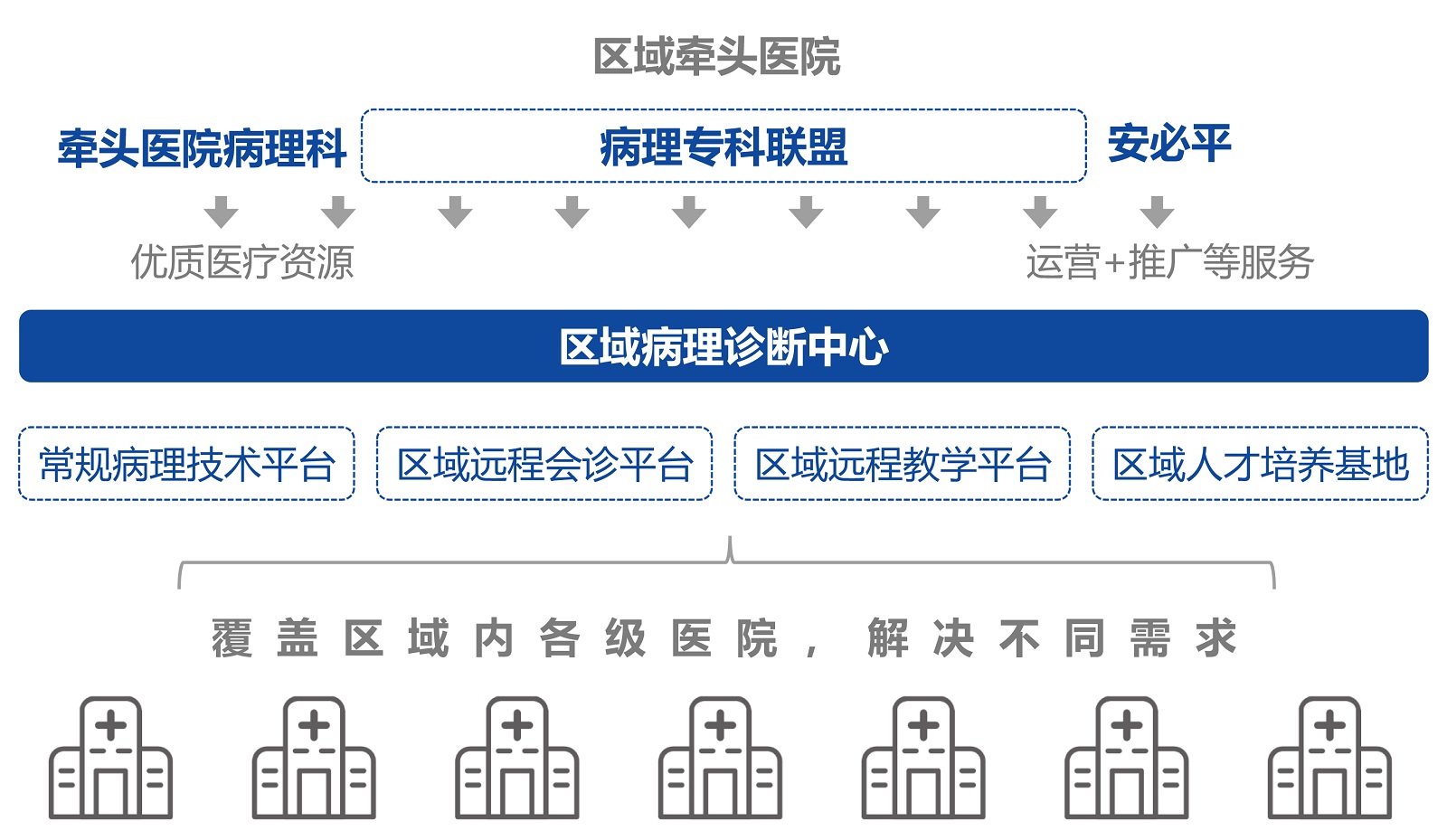 LBP-B002XX医院专科联盟病理诊断中心解决方案-院长主任版2023-10.jpg